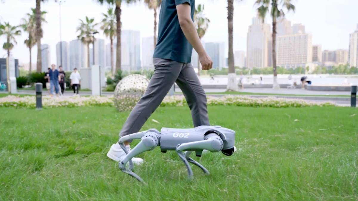 Robot Go2 hodi po travi ob človeku